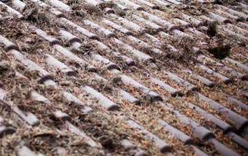 Hawarden roof cleaning companies